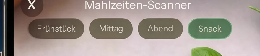 German render: Frühstück, Mittag, Abend, Snack — natively shortened, pills intact